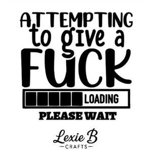 Adult Humor Vinyl Decal Funny dont care Sticker Car Window Laptop Decal 3 inch